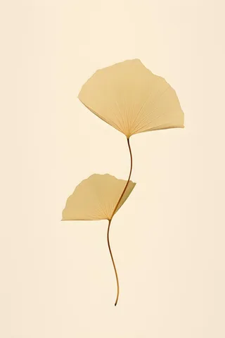 极简复古秋叶背景