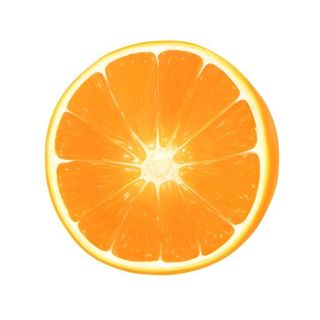 橙子橘子切片水果免抠