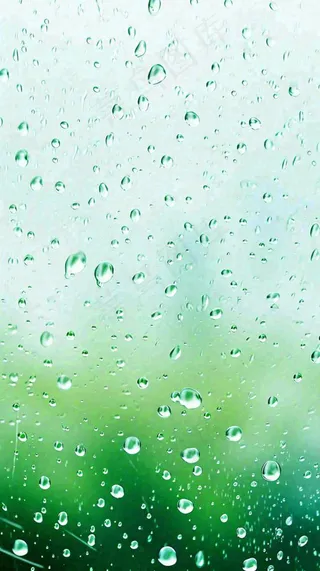 春天绿草下雨水珠，雨水，立春，春分