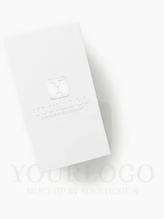 LOGO展示效果样机