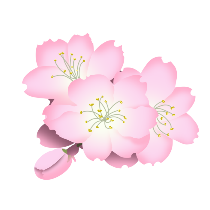 春天浪漫粉红色樱花手绘樱花梅花桃花花朵图片PNG免扣素材