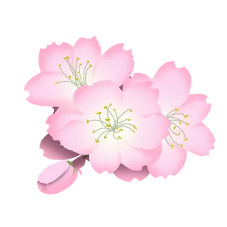 春天浪漫粉红色樱花手绘樱花梅花桃花花朵图片PNG免扣素材 春天浪漫粉红色樱花手绘樱花梅花桃花花朵图片PNG免扣素材