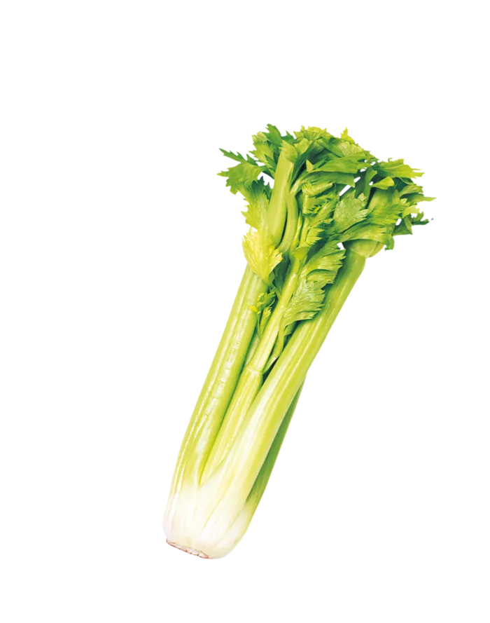 芹菜卡通蔬菜