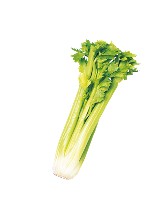 芹菜卡通蔬菜