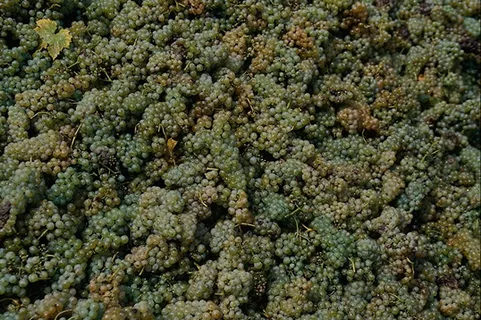 各式背景 1038 各式背景 1038
