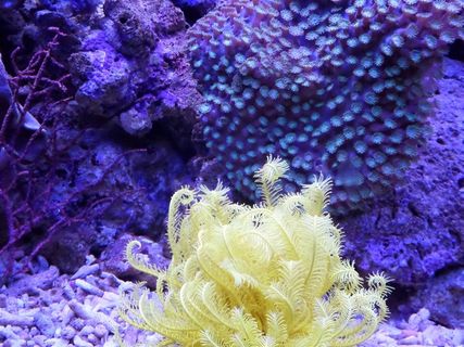 美丽的海底世界