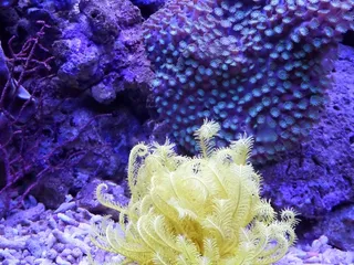 美丽的海底世界