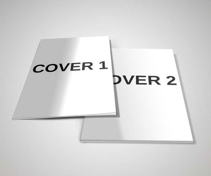 产品画册提案效果样机模板