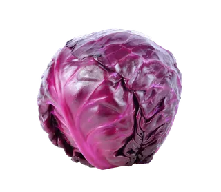 紫甘蓝 (9)超市商品白底图免抠实物摄影png格式图片透明底