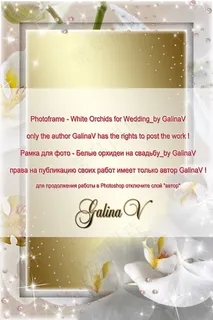 高清婚礼卡片图片下载