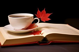 书本树叶秋叶红色简约背景