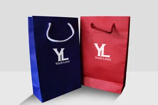 袋子样机 立挺纸袋 手提袋礼品袋 纸质包装袋 品牌购物袋 送礼包装