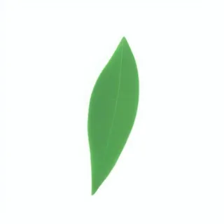 一片绿色叶子png免抠