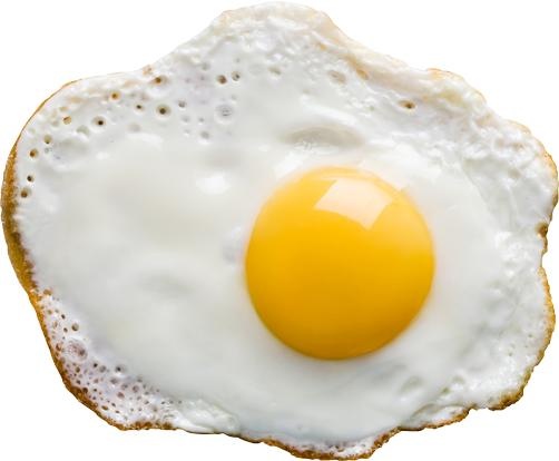 煎蛋 PNG免抠(502x414)