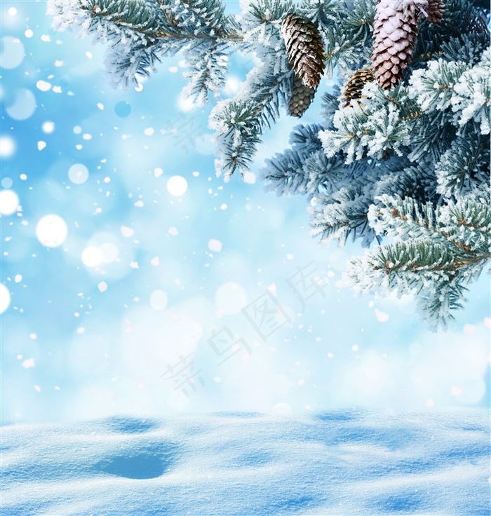 冬季雪花高清素材摄影图片