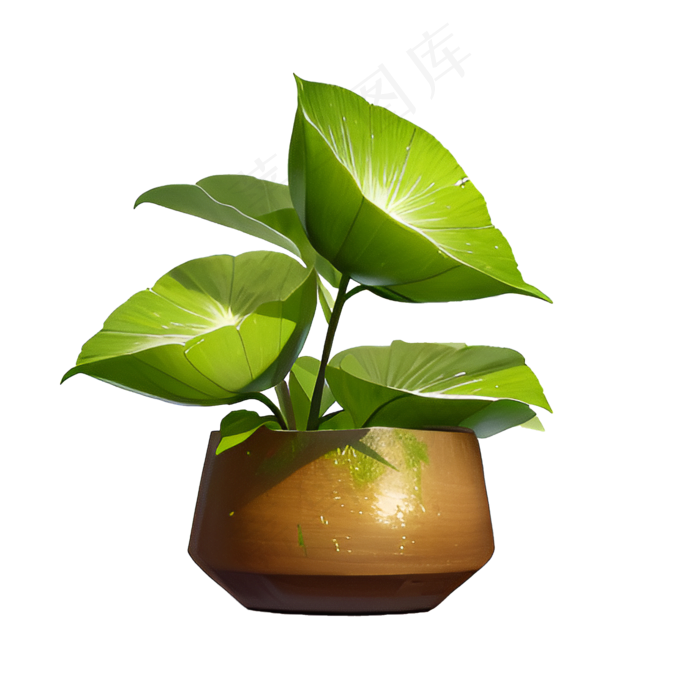 绿色手绘PNG手绘唯美植物盆栽