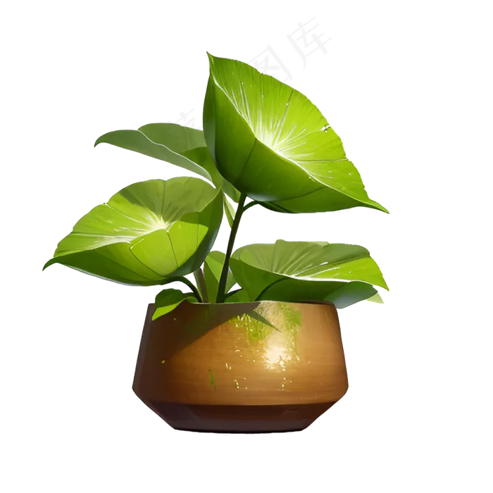 绿色手绘PNG手绘唯美植物盆栽