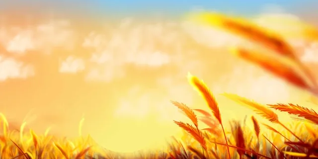 秋天海报背景 秋天海报背景