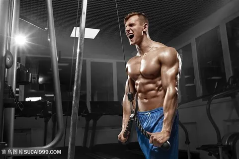 热爱健身的男模高清图片