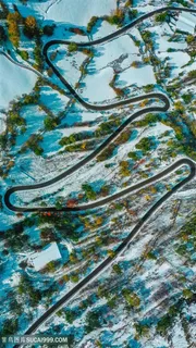 雪地中蜿蜒的公路