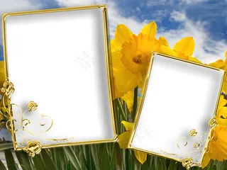 花朵相框素材图片下载