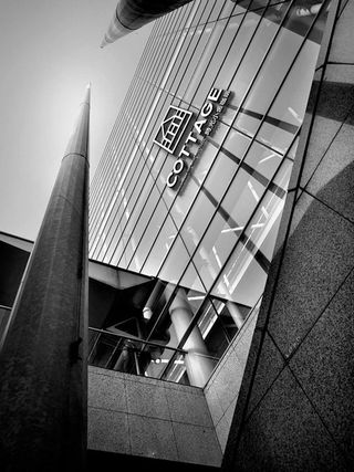 LOGO效果展示样机