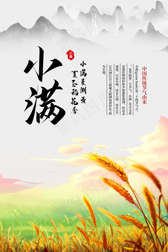 手绘24传统节气小满节日海报