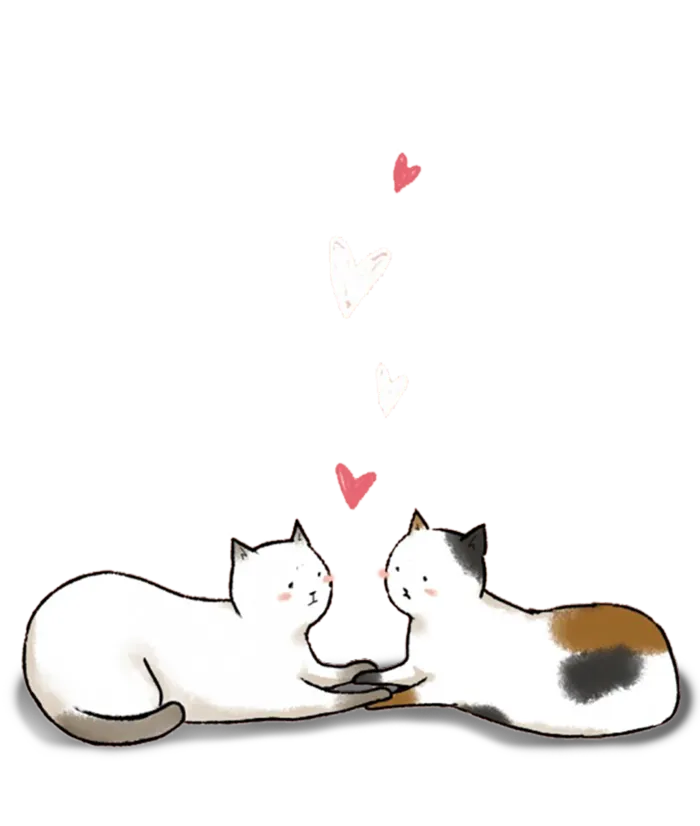 猫咪情侣情人节