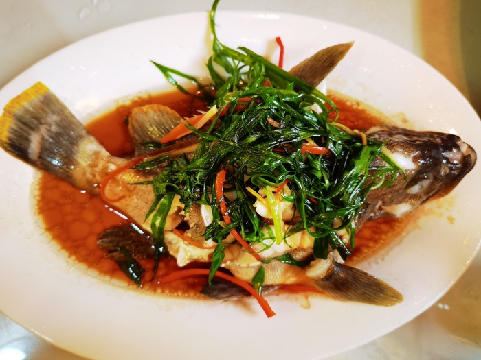 江淮特色菜品清蒸鳜鱼肥
