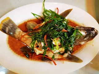 江淮特色菜品清蒸鳜鱼肥