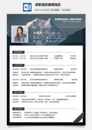 求职简历通用简历预览图