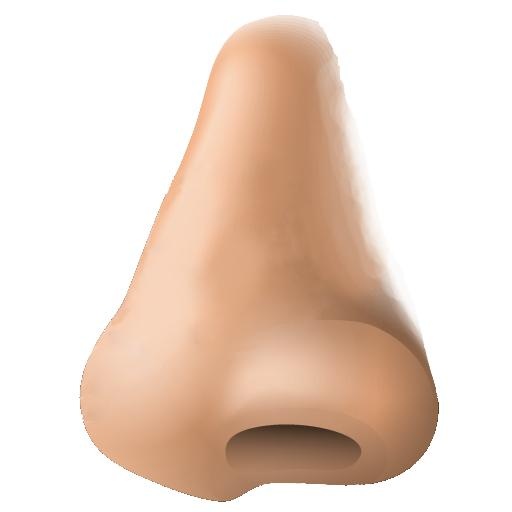 人的鼻子 PNG免抠(512x512)