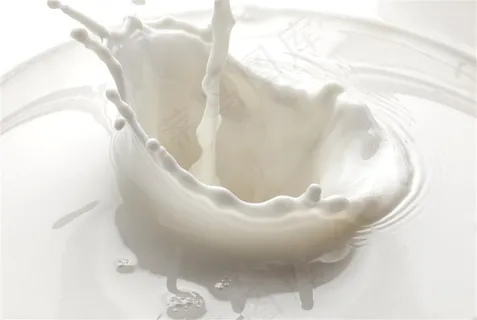 飞溅的牛奶图片 飞溅的牛奶图片