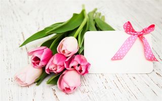 美丽的郁金香和卡片摄影图片