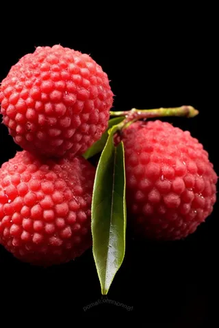 荔枝水果高清摄影图