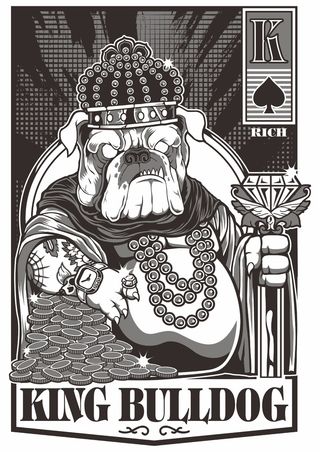 凶猛沙皮狗 土豪胖狗 金闪闪珠宝