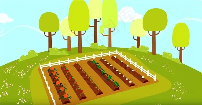 种满蔬菜的小菜地