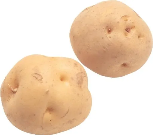 2 potatoes png 图片免抠(1672x1480)