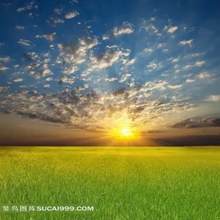 高清日出草地图片素材 高清日出草地图片素材