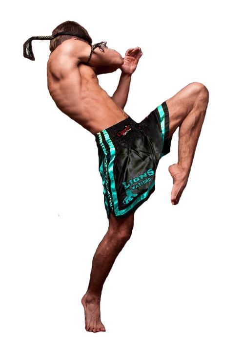 泰拳 PNG免抠(500x707)