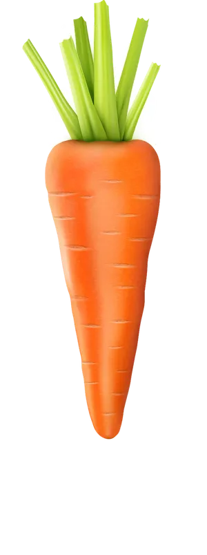 胡萝卜一整个兔年