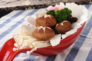 火锅菜品配菜菌菇拼盘蘑菇杂菌拼盘