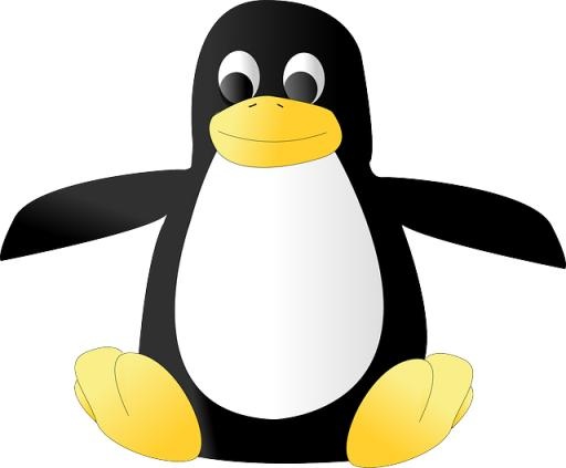 Linux 标志 PNG免抠(640x529)