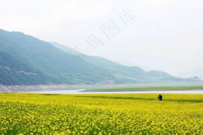 绝美的田园风光