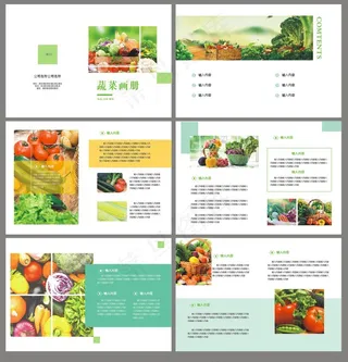 蔬菜画册2