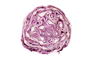 紫甘蓝 (2)超市商品白底图免抠实物摄影png格式图片透明底