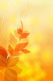 黄色大气海报背景图片