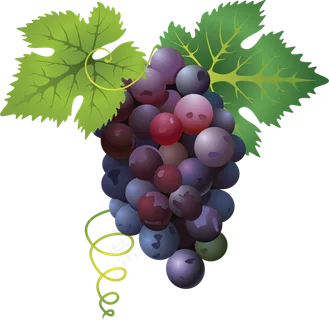 葡萄免抠素材 (45)
