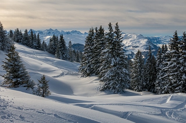 冬天白雪背景风景