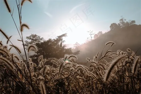 唯美秋季风景